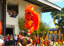 DSC04982
